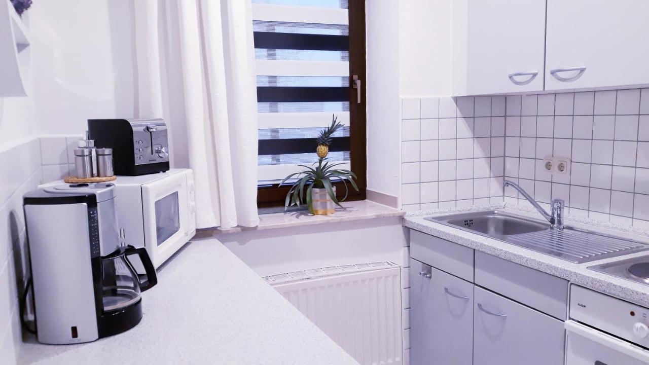 Apartments - Lehmanns Ferienwohnungen Oberwiesenthal Esterno foto