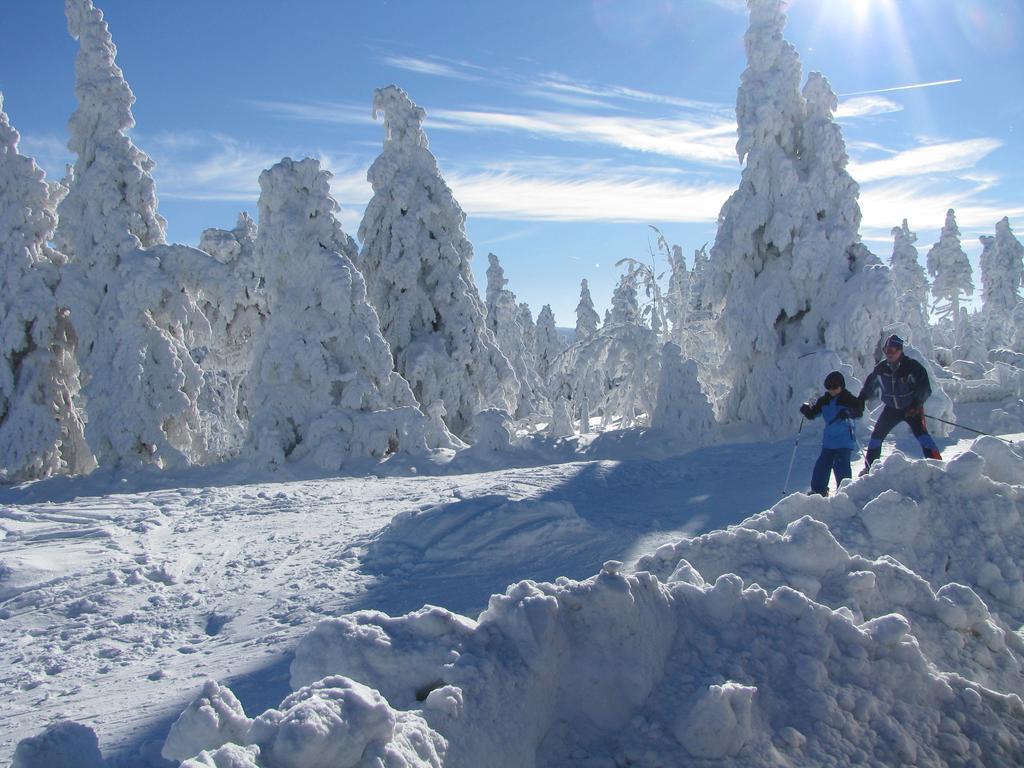 Apartments - Lehmanns Ferienwohnungen Oberwiesenthal Esterno foto